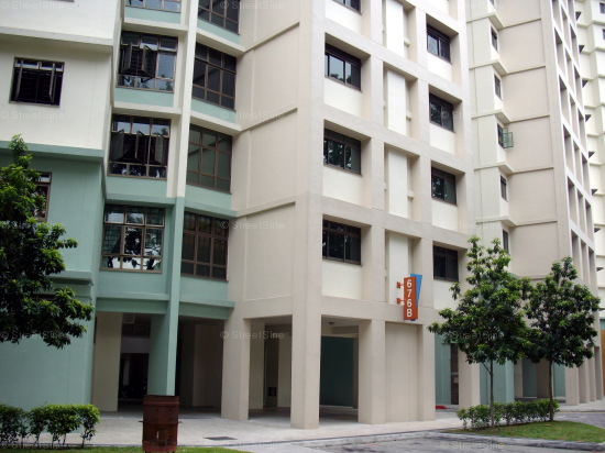 Blk 676B Jurong West Street 64 (Jurong West), HDB 5 Rooms #414452